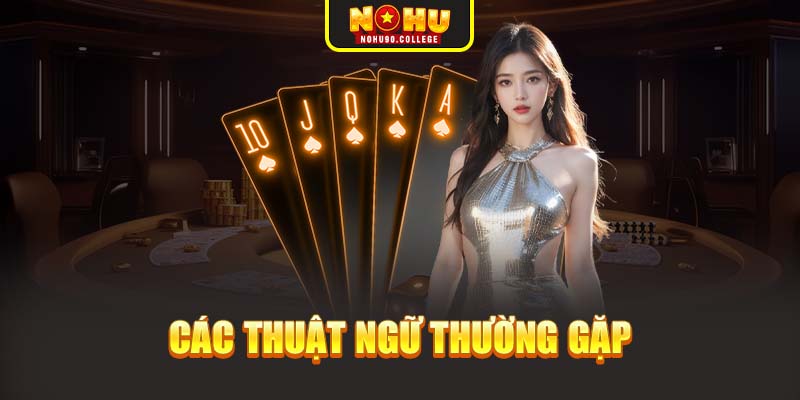 Các thuật ngữ thường gặp
